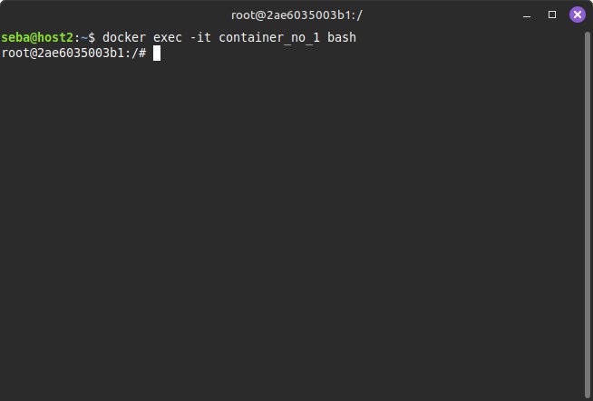 docker exec -it container_no_1 bash