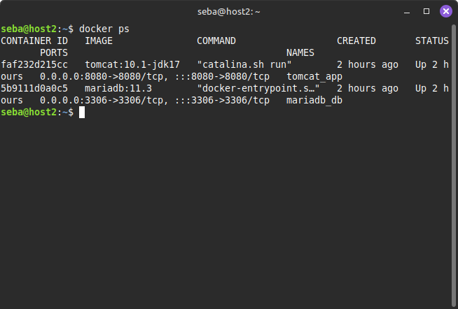 docker ps