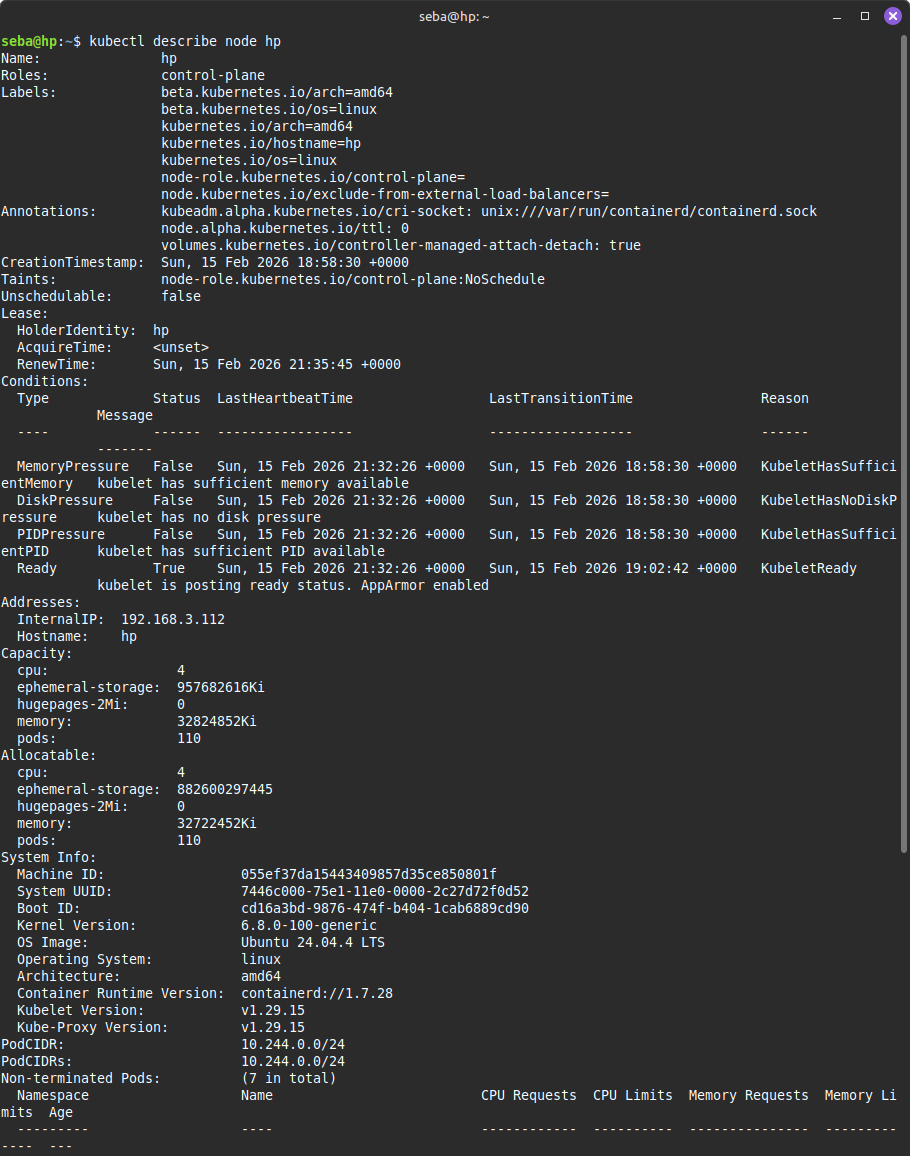 kubectl describe node NODE_NAME