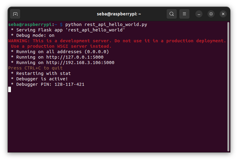 python rest_api_hello_world.py